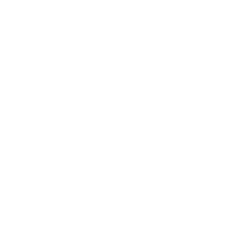 Digital Outlaw Brand